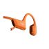 shokz